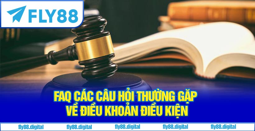 FAQ Các Câu Hỏi Thường Gặp Về Điều Khoản Điều Kiện